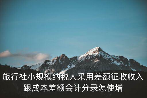 旅行社小規(guī)模納稅人采用差額征收收入跟成本差額會計分錄怎使增