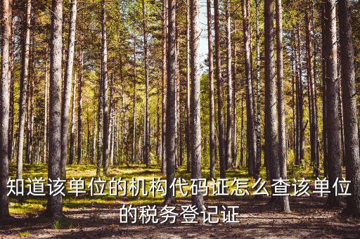 如何查企業(yè)稅務(wù)局登記，公司的稅務(wù)登記證號(hào)怎么查詢
