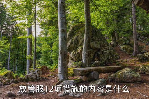 在放管服中如何加強(qiáng)審計(jì)稽察，放管服12項(xiàng)措施的內(nèi)容是什么