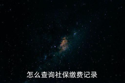 如何在地稅網繳納社保查詢，單位交了社保費在地稅網怎么查詢
