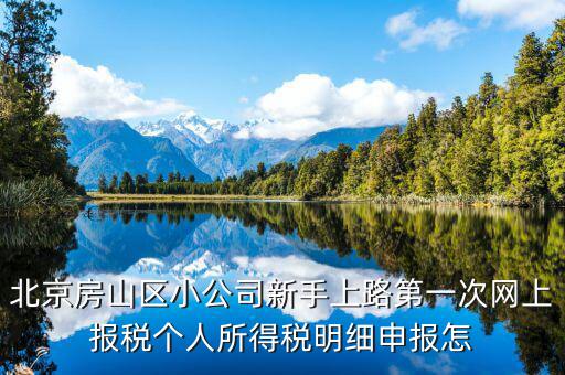 北京網(wǎng)上申報后如何繳稅，地稅國稅的網(wǎng)上繳稅怎么繳