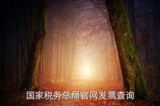 江蘇國(guó)稅如何查詢(xún)發(fā)票，江蘇發(fā)票真?zhèn)尾樵?xún)?nèi)绾尾樵?xún)江蘇發(fā)票真?zhèn)尾樵?xún)?nèi)绾尾樵?xún)最重要的是進(jìn)