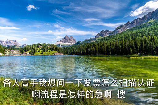 如何掃描認證發(fā)票，各人高手我想問一下發(fā)票怎么掃描認證啊流程是怎樣的急啊  搜