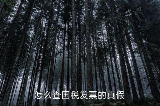 國稅如何驗證發(fā)票，增值稅發(fā)票網(wǎng)上怎么認(rèn)證