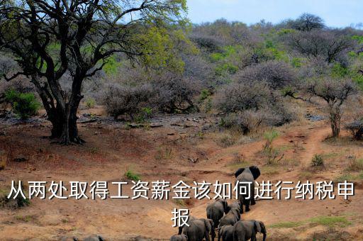 多出取得工資 如何申報個稅，個人多處取得所得如何申報繳納個稅