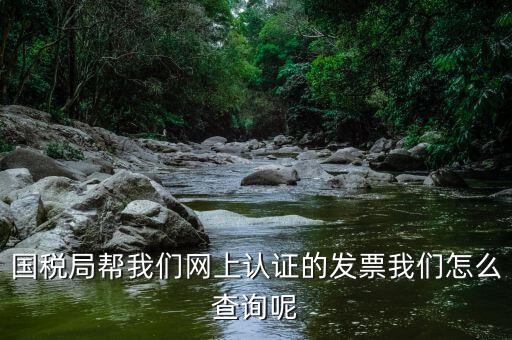 國稅局幫我們網上認證的發(fā)票我們怎么查詢呢