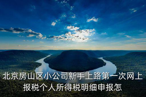 北京市網(wǎng)上稅務(wù)局如何報(bào)稅，北京稅務(wù)局網(wǎng)上報(bào)到怎么操作
