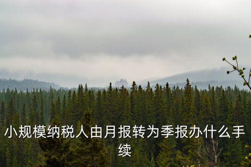 小規(guī)模附加稅如何改成按季申報，小規(guī)模納稅人增值稅按月申報可以改為按季度申報嗎