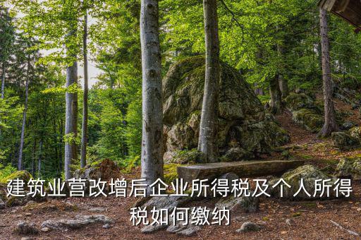 營(yíng)改增后企業(yè)所得稅如何繳納，營(yíng)改增后施工企業(yè)所得稅怎樣繳