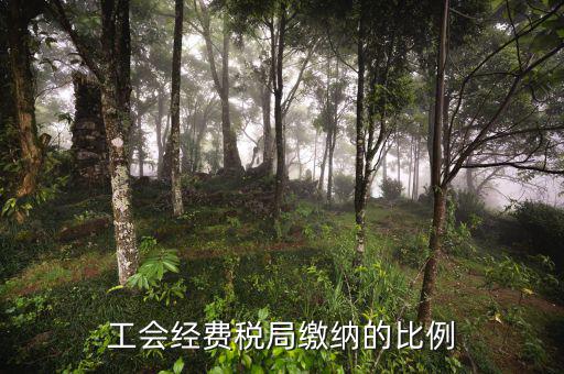 稅局代收的工會(huì)經(jīng)費(fèi)應(yīng)如何交納，稅務(wù)局代收的工會(huì)經(jīng)費(fèi)怎么交