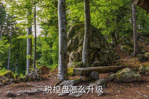 個(gè)人所得稅軟件如何升級(jí)，軟件怎樣升級(jí)