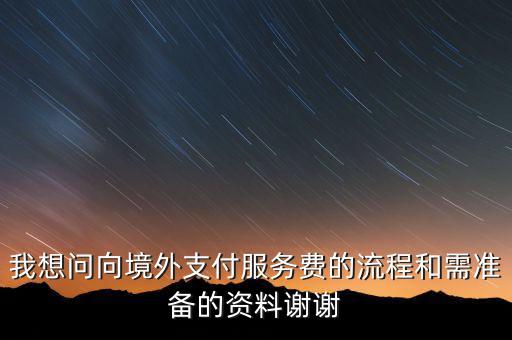 我想問向境外支付服務費的流程和需準備的資料謝謝