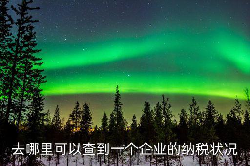 去哪里可以查到一個(gè)企業(yè)的納稅狀況