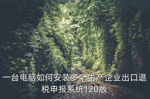 一臺電腦如何安裝多個生產(chǎn)企業(yè)出口退稅申報系統(tǒng)120版