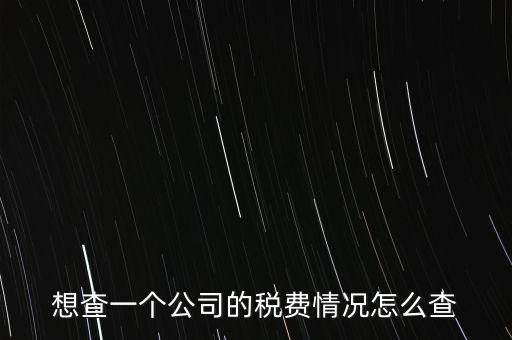 如何查詢公司納稅記錄查詢，想查一個公司的稅費(fèi)情況怎么查