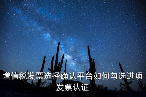 增值稅發(fā)票選擇確認(rèn)平臺如何勾選進項發(fā)票認(rèn)證