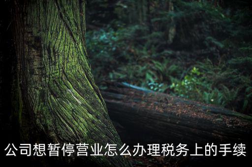 北京市如何辦理單位稅務(wù)暫停，企業(yè)暫停營(yíng)業(yè)怎么辦理