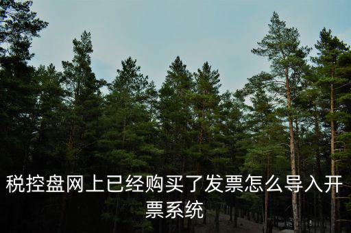 如何網(wǎng)上開票系統(tǒng)，稅控盤網(wǎng)上已經(jīng)購買了發(fā)票怎么導入開票系統(tǒng)