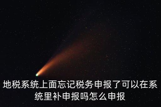 地稅如何補(bǔ)充申報(bào)表，地稅系統(tǒng)上面忘記稅務(wù)申報(bào)了可以在系統(tǒng)里補(bǔ)申報(bào)嗎怎么申報(bào)