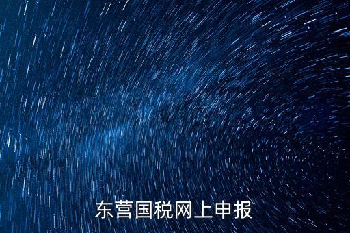 東營國稅如何網(wǎng)上申報(bào)，東營國稅網(wǎng)上申報(bào)
