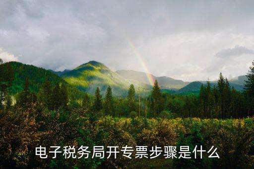 山西省稅務(wù)局網(wǎng)上如何開專票，如何開增值稅專用發(fā)票
