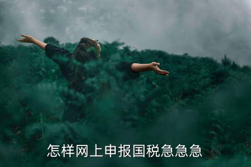 怎樣網上申報國稅急急急
