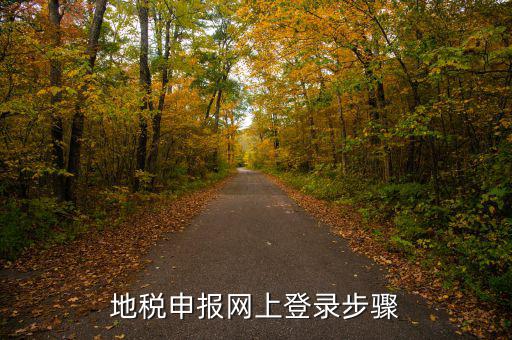 廣西國稅地稅如何網(wǎng)上申報(bào)，稅務(wù)申報(bào)如何網(wǎng)上申報(bào)
