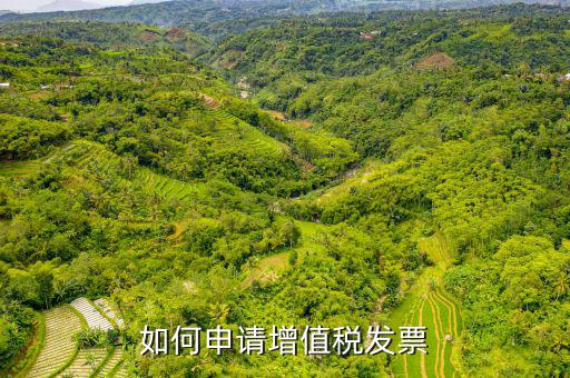增值稅卷式發(fā)票如何申，新開公司如何申請增值稅發(fā)票