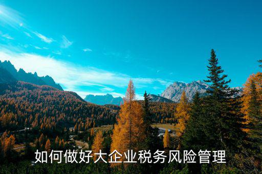 如何加強對重點企業(yè)的稅務(wù)管理，加強大企業(yè)的稅收管理有何良策