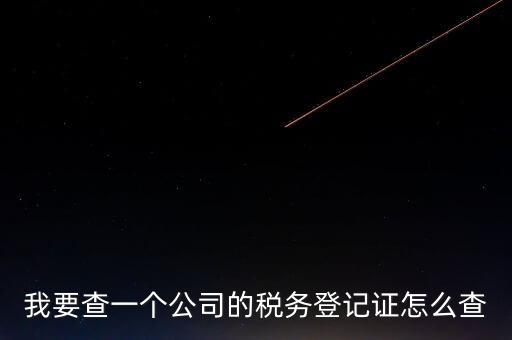如何查企業(yè)的稅收記錄，想查一個(gè)公司的稅費(fèi)情況怎么查