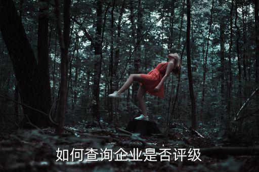 如何查詢(xún)企業(yè)是否評(píng)級(jí)