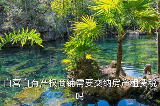 自有商鋪如何繳租賃稅，自有商鋪 是否交出租稅