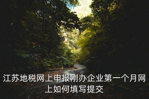 江蘇地稅網(wǎng)上申報(bào)剛辦企業(yè)第一個(gè)月網(wǎng)上如何填寫(xiě)提交