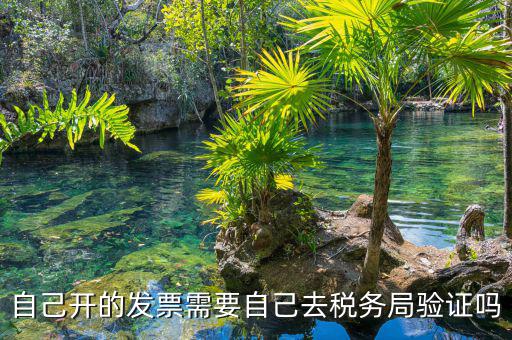 如何去稅務(wù)局驗(yàn)證發(fā)票嗎，發(fā)票怎么去稅務(wù)局驗(yàn)證需要什么資料