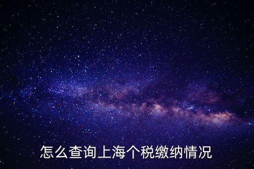怎么查詢上海個稅繳納情況