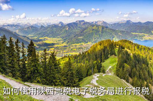 陜西地稅國稅網(wǎng)上如何申報(bào)，如何使用陜西地稅電子稅務(wù)局進(jìn)行報(bào)稅