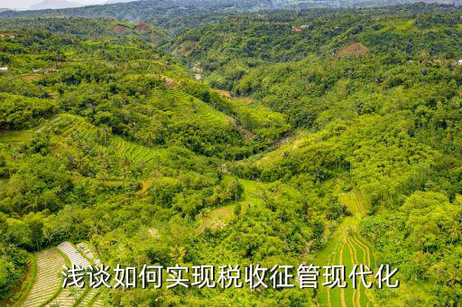 談談如何推進新時代稅收現(xiàn)代化，淺談如何實現(xiàn)稅收征管現(xiàn)代化