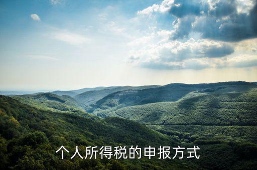 如何申請個人所得稅，個稅怎么申報