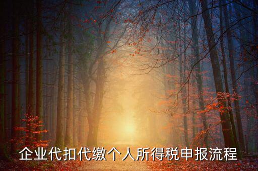 網(wǎng)上如何進入代扣代繳申報，企業(yè)代扣代繳個人所得稅申報流程
