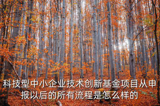 科技型優(yōu)惠如何備案，研發(fā)費(fèi)用加計扣除優(yōu)惠備案的要點有哪些