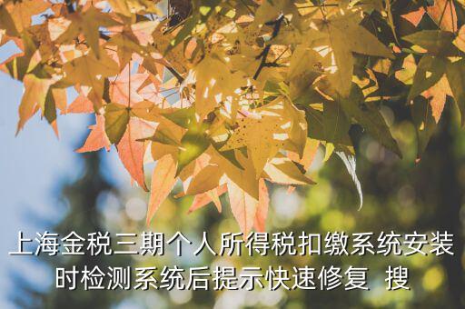 個稅安裝包如何恢復，上海金稅三期個人所得稅扣繳系統(tǒng)安裝時檢測系統(tǒng)后提示快速修復  搜