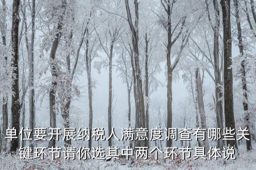 如何開(kāi)展走訪(fǎng)提升納稅人滿(mǎn)意度，怎么提高納稅人滿(mǎn)意度