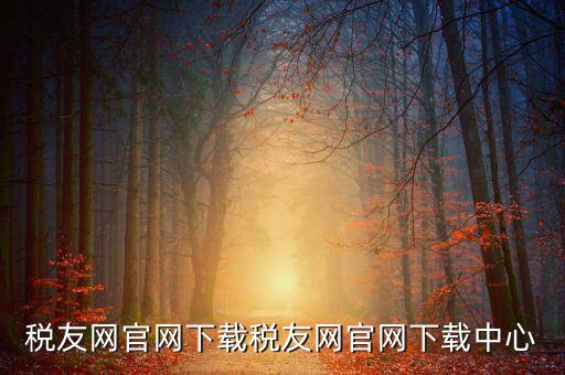 稅友如何下載，個(gè)稅在稅友網(wǎng)上下載下來了然后怎么安裝