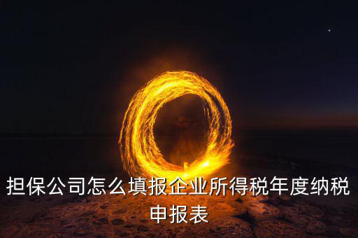 保險(xiǎn)公司如何納稅申報(bào)，保險(xiǎn)代理公司怎么向地稅申請(qǐng)代開發(fā)票