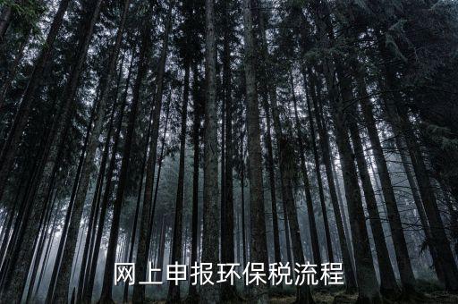 電子稅務(wù)局環(huán)保稅如何申報(bào)，2021年環(huán)保稅怎么申報(bào)