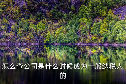 如何查詢一般人納稅認(rèn)定時(shí)間，怎么查公司是什么時(shí)候成為一般納稅人的