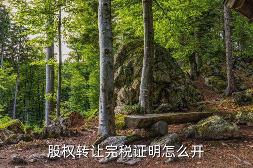 合肥股權(quán)轉(zhuǎn)讓如何開(kāi)具完稅證明，完稅證明怎么開(kāi) 如何開(kāi)具稅收完稅證明