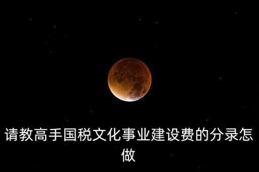 請教高手國稅文化事業(yè)建設(shè)費(fèi)的分錄怎做
