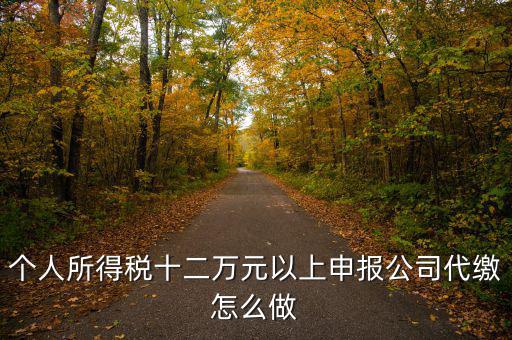 如何做好12萬元申報(bào)征收工作，個(gè)人所得稅十二萬元以上申報(bào)公司代繳怎么做