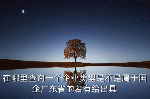 單位類型如何查詢，如何查詢企業(yè)管理類別